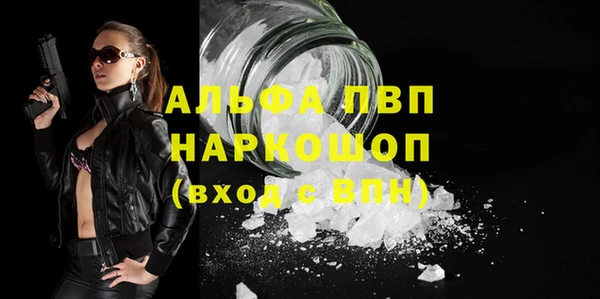 спайс Корсаков