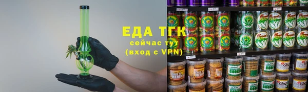 спайс Корсаков