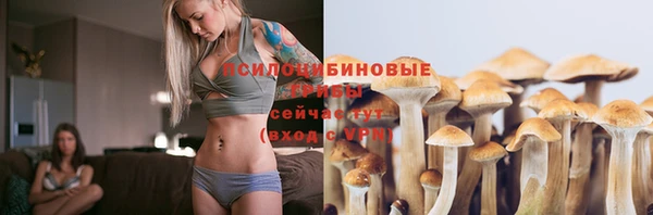 метадон Костерёво