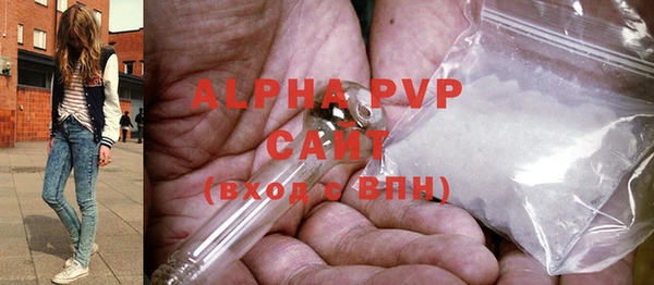 спайс Корсаков