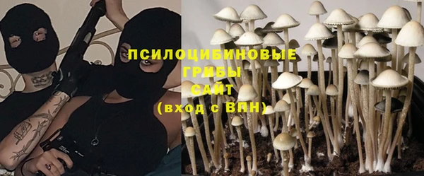 спайс Корсаков