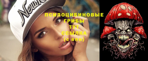 спайс Корсаков