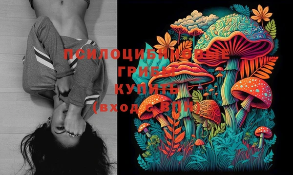 спайс Корсаков