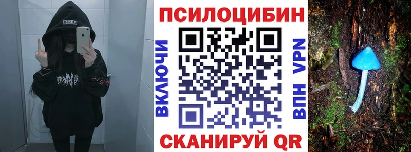 Галлюциногенные грибы Cubensis  Купить  Канск 
